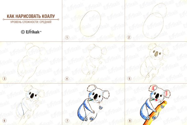 Поэтапное рисование коалы для детей