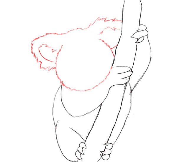 Нарисовать коалу поэтапно