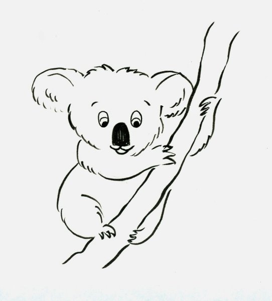 Алиса как нарисовать собак кошек и коал карандашом