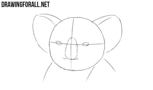 Коала поэтапные рисунки