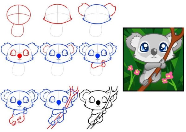 Коала с разных ракурсов рисунок