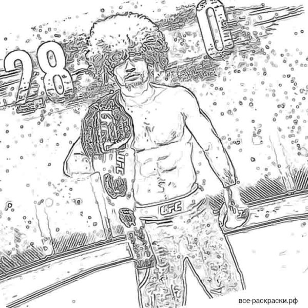 Портрет Хабиба Нурмагомедова