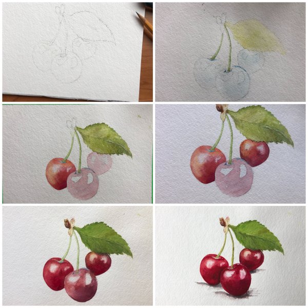 Вишня акварелью поэтапно
