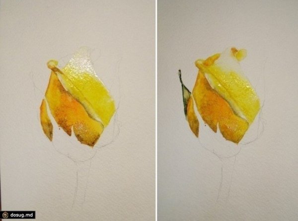 Пошаговые уроки по рисованию акварелью