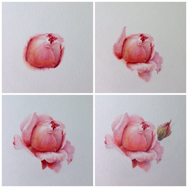 Рисование акварелью для начинающих пошаговые уроки