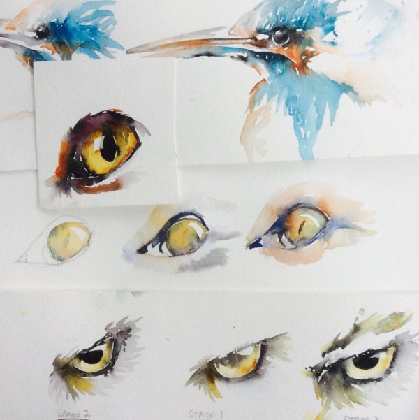 Акварель глаза животных