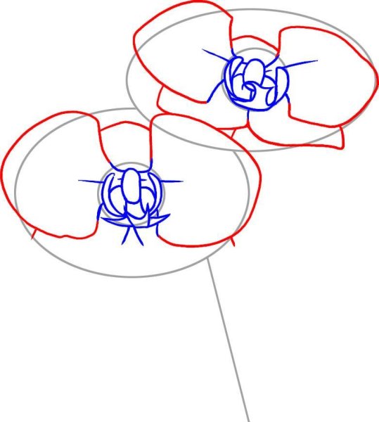 Учусь рисовать орхидеи