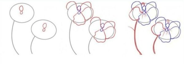 Поэтапное рисование фиалки