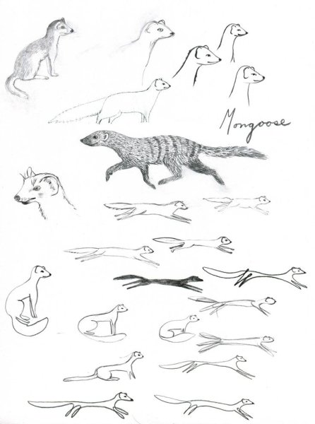Наброски млекопитающихся