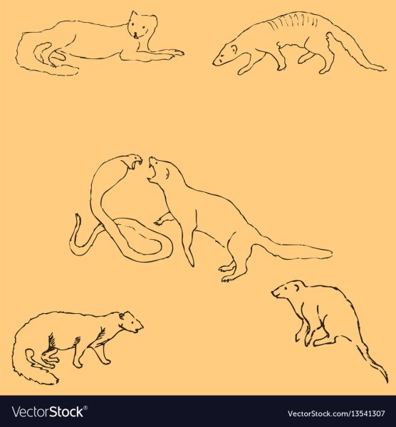 Мангуст одной линией рисунки