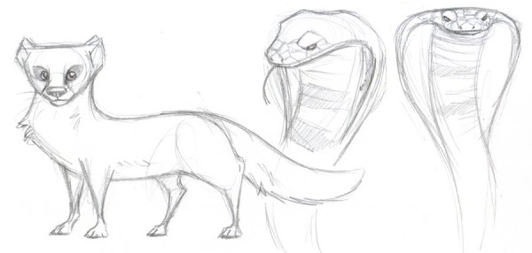 Раскраска мангуста Рикки Тикки Тави