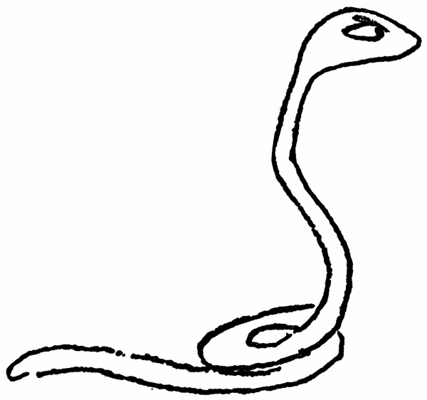 Поэтапное рисование мангуста и змеи