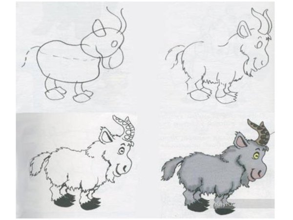 Поэтапное рисование козленка