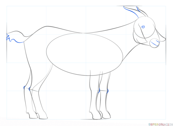 Поэтапное рисование козла