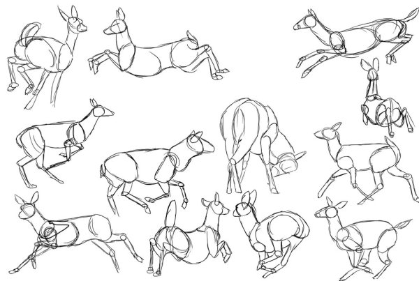Позы животных для рисования