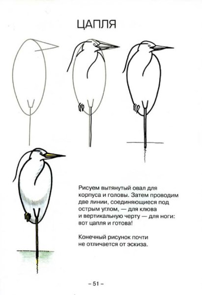 Как рисовать цаплю