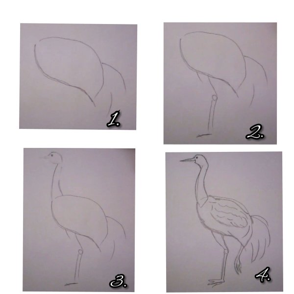 Схема рисования Цапли