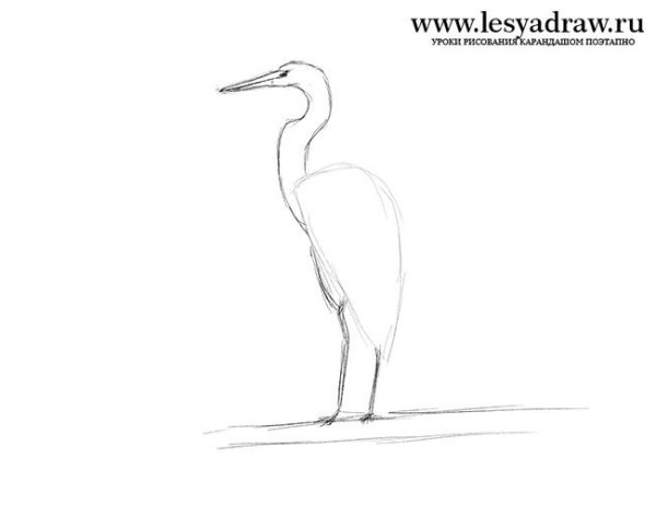 Цапля рисунок карандашом поэтапно