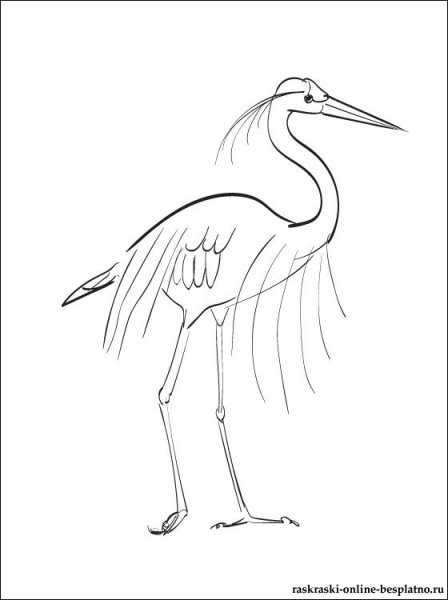 Цапля поэтапное рисование