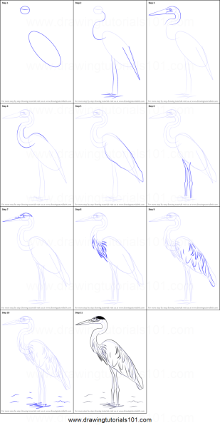 Рисование Цапли