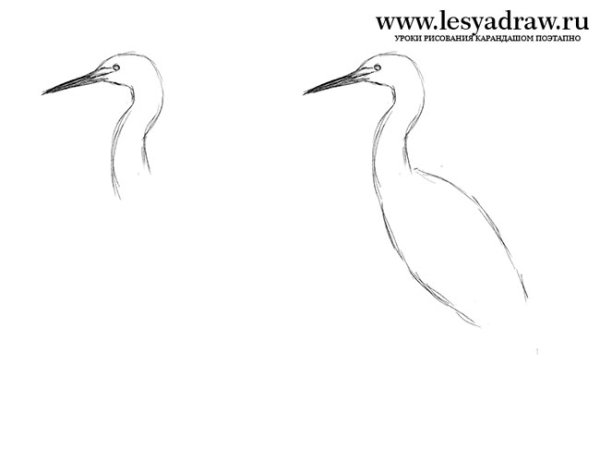 Литография журавль Даурский