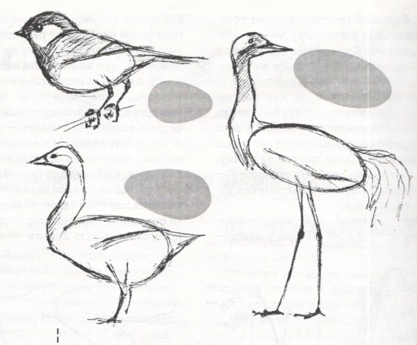 Рисование Цапли
