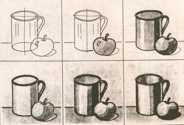 Этапы штрихования натюрморта