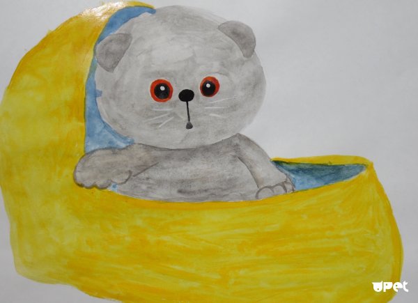 Басик рисунок