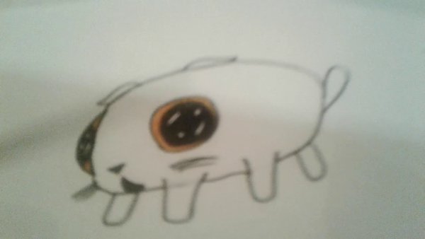 Как нарисовать кота Басика