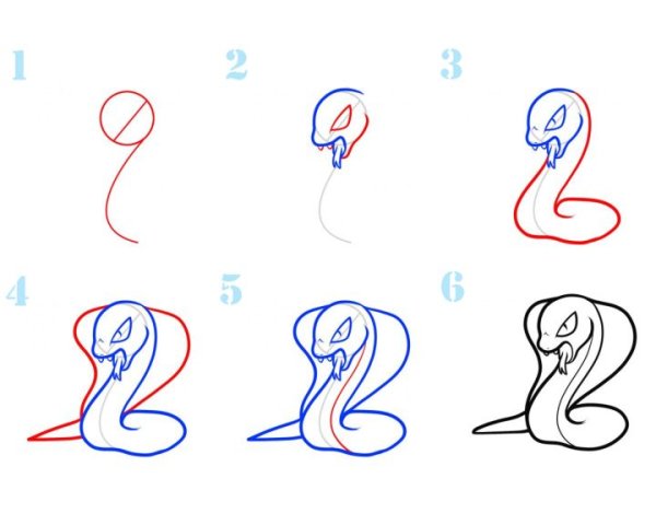 Кобра рисунок поэтапно