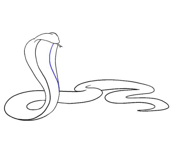 Пошаговое рисование кобры