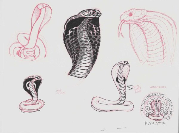 Цветной рисунок чешуя кобры