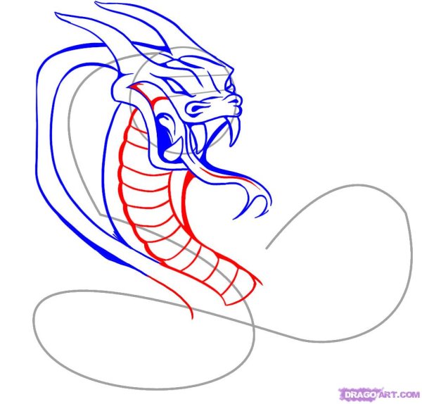 Кобра рисунок карандашом