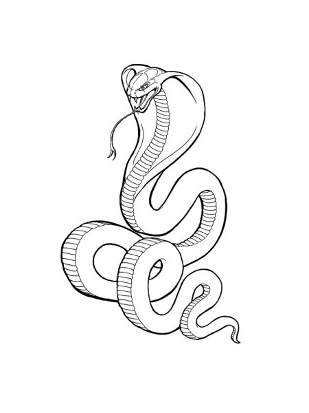 Раскраска змеи кобры