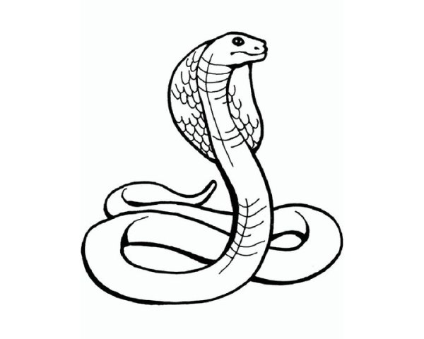 Змея карандашом для детей