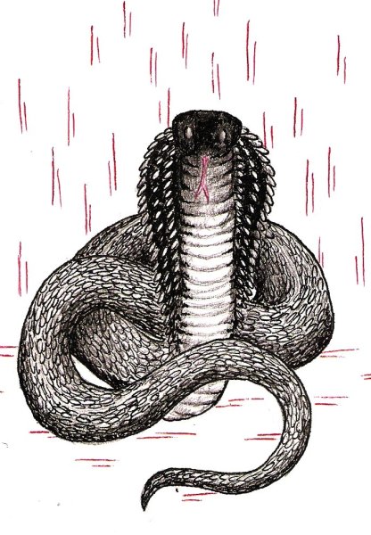 Королевская Кобра карандашом