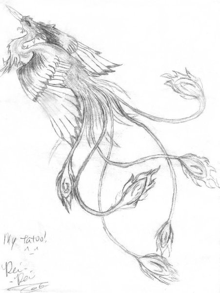 Поэтапные рисунки Феникса