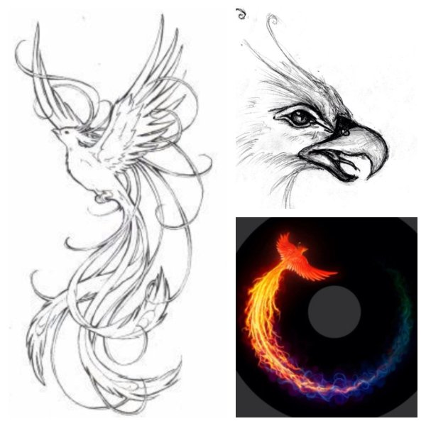 Пошаговое рисование Феникса