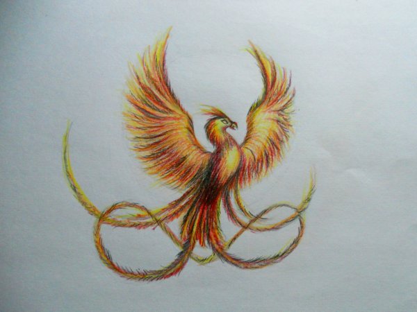 Птица Феникс