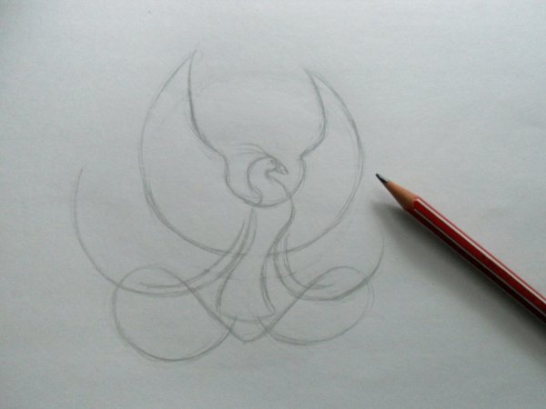 Феникс поэтапное рисование