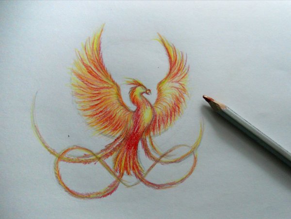 Птица Феникс карандашом