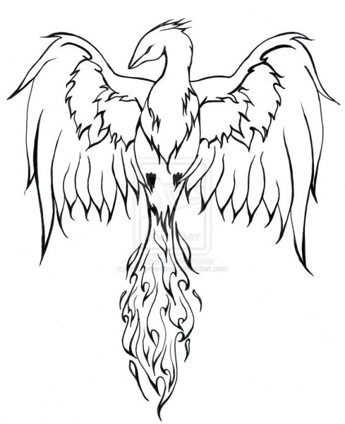 Феникс срисовать легко