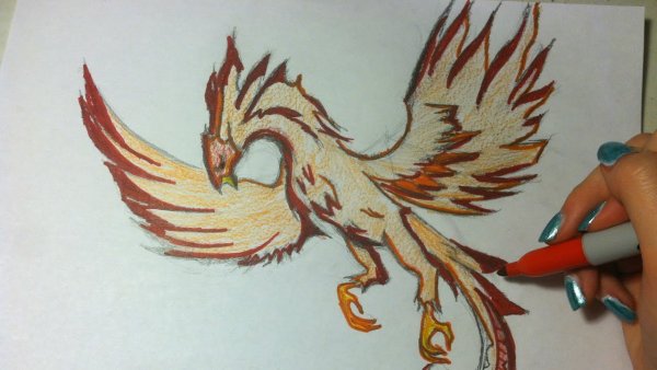 Феникс карандашом профессионально