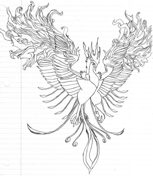Раскраска для девочек птицы Феникс легкие