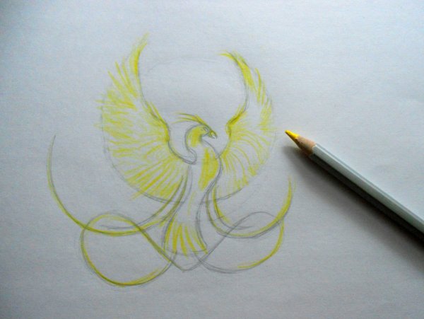 Птица Феникс карандашом
