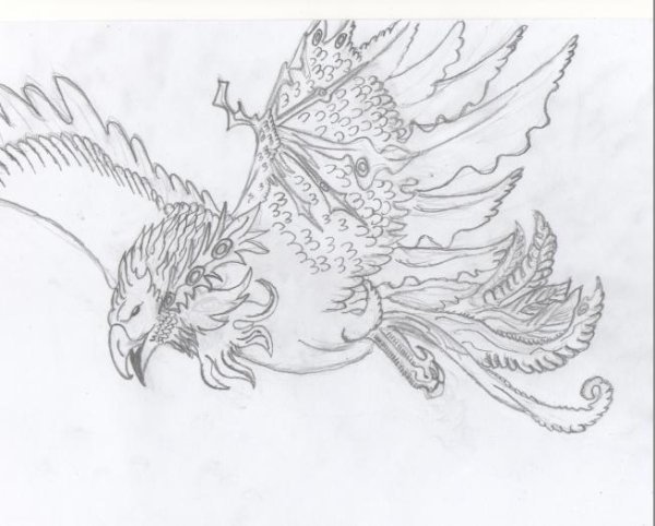 Феникс карандашом для срисовки
