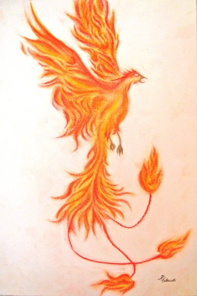 Птица Феникс карандашом