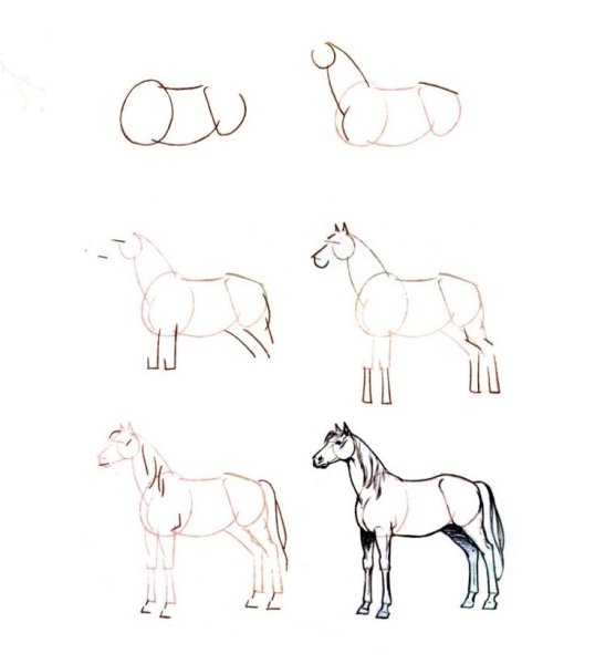 Лошадь рисунок для начинающих