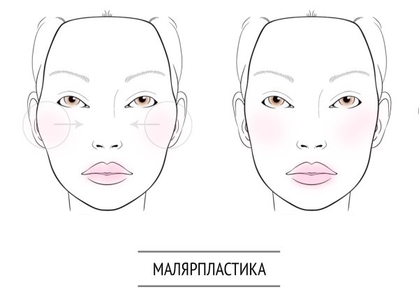 Эндрю Лумис пропорции человека