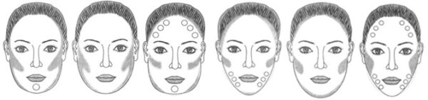 Голова спереди референс